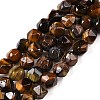 Natural Tiger Eye Beads Strands G-T138-227-4