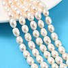 Natural Cultured Freshwater Pearl Beads Strands PEAR-I007-01D-07C-1