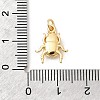 Brass Pendants KK-Z135-10G-3