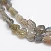 Natural Labradorite Beads Strands G-F521-42-3