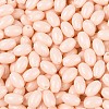 Baking Paint Glass Seed Beads SEED-T007-15C-2