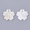 Freshwater Shell Pendants SHEL-N026-03-2