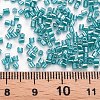 Glass Bugle Beads SEED-S032-11A-120A-4