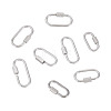 8Pcs 4 Styles 304 Stainless Steel Screw Carabiner Lock Charms STAS-TA0005-54-3