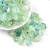 Transparent Acrylic Beads TACR-T028-44I-1