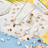   10 Strands 10 Styles Natural Shell Beads Strands BSHE-PH0001-33-5