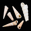 Natural Spiral Shell Beads SSHEL-S266-030-3