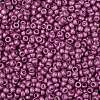 TOHO Round Seed Beads SEED-TR08-0563F-2