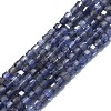 Natural Iolite Beads Strands G-P457-B01-35-1