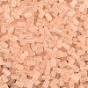 FGB Frosted Transparent Glass Seed Beads X-SEED-N013-05A-03-3