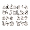 304 Stainless Steel Pendants STAS-S186-12-P01-1
