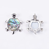 Abalone Shell/Paua Shell Pendants SSHEL-L008-14A-3