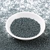 MIYUKI Round Rocailles Beads X-SEED-G007-RR0178-2