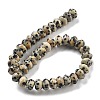 Natural Dalmatian Jasper Beads Strands G-P559-A01-01-3