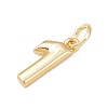 Brass Charms KK-G544-10G-3