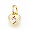 Brass Micro Pave Cubic Zirconia Charms X-ZIRC-F095-04G-1