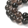 Natural Ice Obsidian Beads Strands G-P590-A03-10mm-02-4