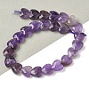 Natural Amethyst Beads Strands G-D316-B13-1