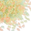 Luminous Transparent Acrylic Beads LACR-D009-01C-2