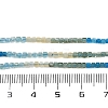 Natural Blue Green Yellow Apatite Beads Strands G-NH0050-B01-01-6