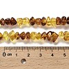 Natural Amber Beads Strands G-L095-L01-04-5