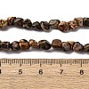 Natural Leopard Skin Jasper Beads Strands G-I389-A09-5