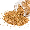 MIYUKI Delica Beads SEED-MY11-DB2303-1