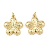 Brass Pendants KK-L251-28G-1