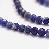 Natural Sodalite Bead Strands G-P279-58-3mm-3