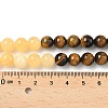 Chakra Natural Red Jasper & Yellow Jade & Green Aventurine & Tiger Eye & Sodalite & Amethyst Beads Strands X-G-NH0002-E02-8mm-6