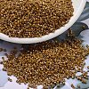 MIYUKI Delica Beads SEED-MY11-DB2273-1