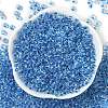 Transparent Inside Colours Glass Seed Beads X1-SEED-A032-04D-2
