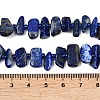Natural Lapis Lazuli Beads Strands G-L657-E01-01-5