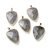 Faceted Natural Labradorite Pendants G-F340-02D-3