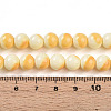 Baking Paint Glass Beads Strands DGLA-N012-8mm-03-4
