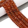 Natural Carnelian(Dyed & Heated) Beads Strands G-Q194-A01-01-2