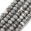 Natural Map Stone/Picasso Stone/Picasso Jasper Bead Strands G-D344-A18-3