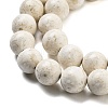 Natural Fossil Beads Strands G-H026-02C-4