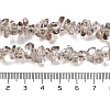 Transparent Glass Beads Strands GLAA-P060-01B-05-4