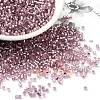 Glass Seed Beads SEED-S042-04B-15-1