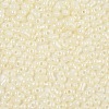 Baking Paint Glass Seed Beads SEED-L011-09A-17-3