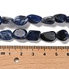 Natural Sodalite Beads Strands G-P497-01E-55-5