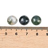 Natural Moss Agate Cabochons G-D367-01A-01-3