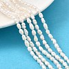 Natural Cultured Freshwater Pearl Beads Strands PEAR-I007-01M-01B-1