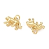 Brass Charms KK-D289-34C-G-2