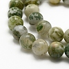 Natural Tree Agate Beads Strands G-K194-6mm-02-4