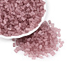 FGB Frosted Transparent Glass Seed Beads SEED-N013-05A-06-1