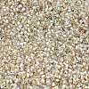 FGB 15/0 Grade A Glass Seed Beads X-SEED-A023-F15-H634-2