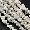 Chip Natural Howlite Beads Strands LS-G-N0134-11-1