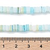 Handmade Lampwork Beads Strands LAMP-Q037-02A-06-4
